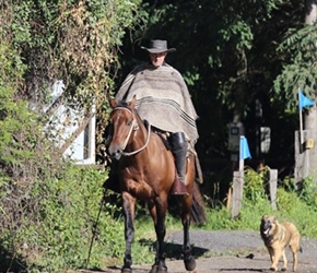 Gaucho in Pucon. He really didn't want his picture taken. Trouble is when one stops everyone stops