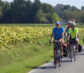 Barney leads the group through North Carolina