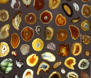 Mineral display at the Cowen Museum