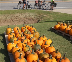 Being the fall, pumpkins are in abundance