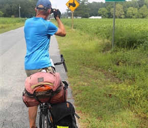 Into Virginia and its farmland