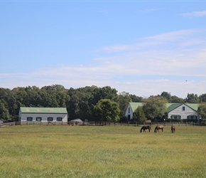 18.21.09.16-15-Virginian-farm47330.jpg