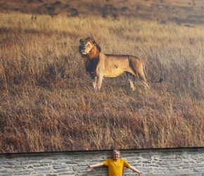 Neil and Lion Photo at La Gacilly