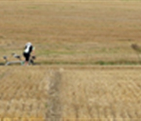 Across cornfields