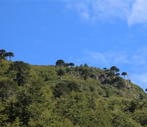 Trees silhouetted on the hillsides, quite striking