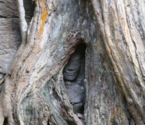 Hidden face at Ta Prohm