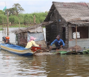 Fish on Tonle Sap River