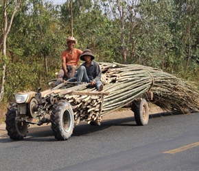 Canes on truck