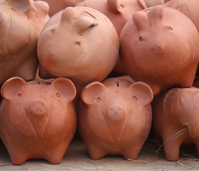 Terracota Pigs, Cambodia