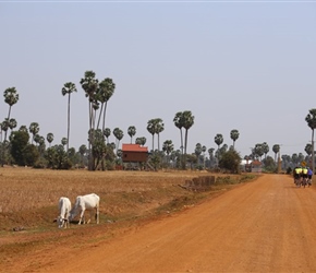 Hut and red road