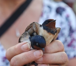 Dianne with birds on Riverside Walk Phnom Penh