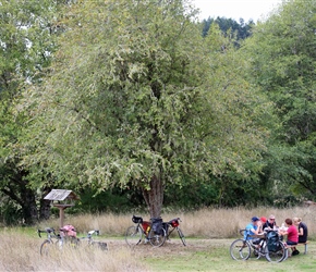 Picnic at Jewell Meadows