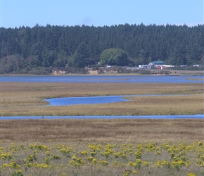 View from Sandlake Road