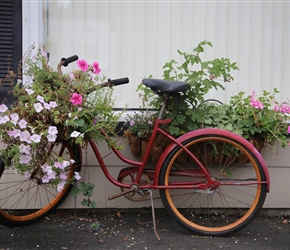 Decorated Bicycle in Drain