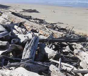 Driftwood at Rock Creek. Sunbleached, at remote beaches there was a lot of it