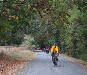 Barney on the Dorena Lake Cyclepath