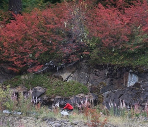 Ian and red leaves