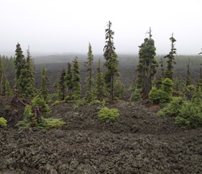 The summit is a 2000 year old lava flowing is quite surreal