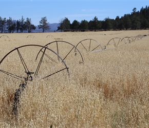 Irrigation wheels