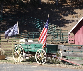 Patriotic waggon