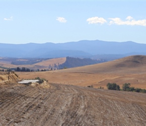 Boyd Loop Road