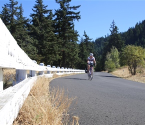 Pip passes the white railed edge to the trail, typical of this cycle route