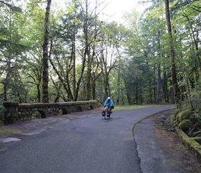 Linda passes decorated bridge