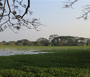 Lake near Tambuttegama