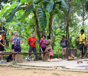 All having a coconut