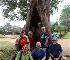 How many can we get in that tree? at Polonnaruwa