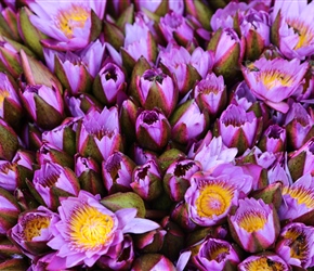 Flower offerings near Temple of the Tooth