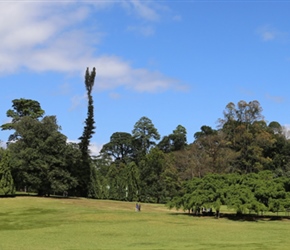 Royal Botanical Gardens