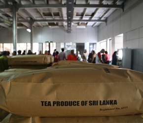 Tea sacks at Mackwood Tea