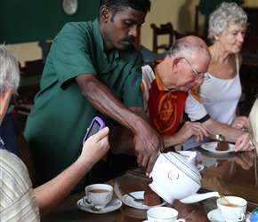 Pouring tea at Mackwoods Tea Plantation