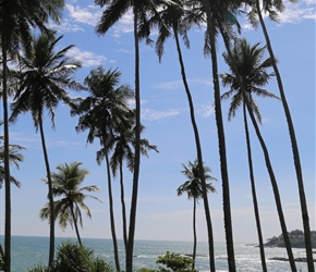 Arrived at the coast at Tangalle