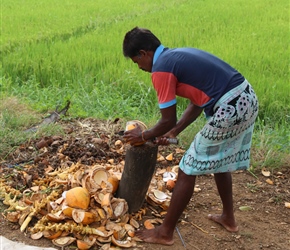 Simple, rock up, request a coconut which is opened by the road. When you've drunk the milk it's then split in two to eat the meat