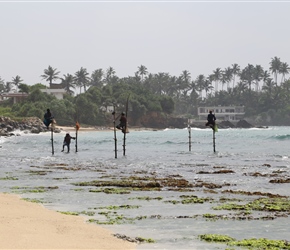 Stilt Fisherman. This iconic image is a set up these days because it's no longer done, just locals doing it for tourists