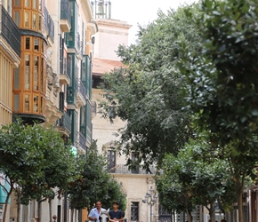 Horse and Carriage in Palma