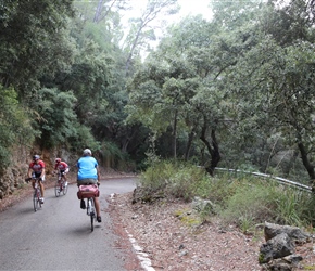 Barney on switchbacks on an island with lots of racing cyclists