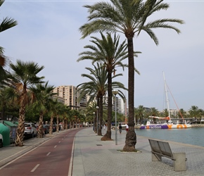 Cycleway through Palma