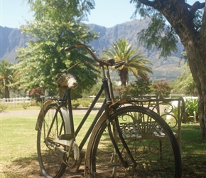 Bicycle at Zorgvliet Winery