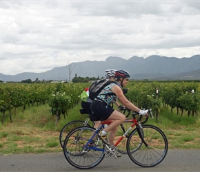 Steve and Beth pass vineyards