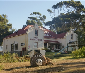 Big Bale Pig at the old windmill