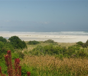 Passing Grotto Beach at Hermanus