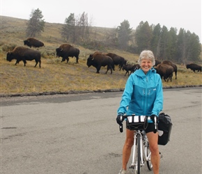 Valerie and Bison in the Haydon Valley