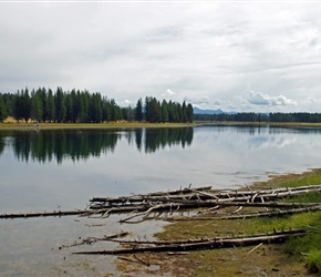 Yellowstone River, close to Fishing Bridge