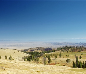 To the South of Beartooth Pass