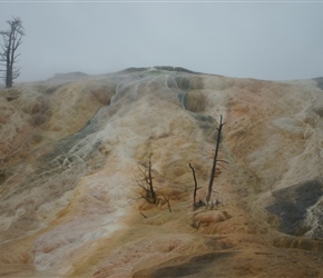 Mammoth Hot Springs