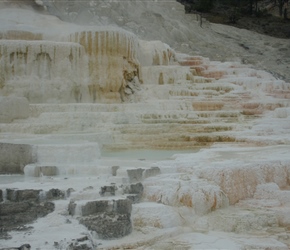  It was created over thousands of years as hot water from the spring cooled and deposited calcium carbonate (over two tons flow into Mammoth each day in a solution)