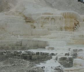 Mammoth Hot Springs